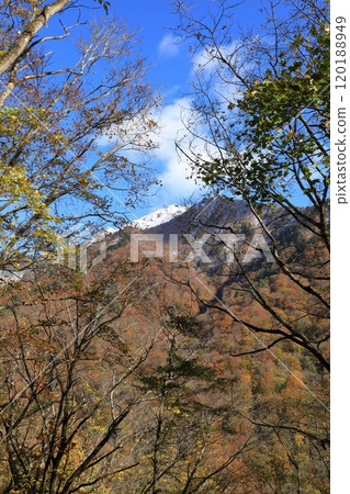 深秋從一之倉澤健行路線上看到的白雷門和笠岳 120188949