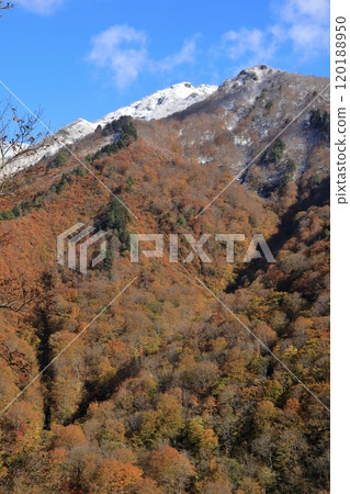 深秋從一之倉澤健行路線上看到的白雷門和笠岳 120188950