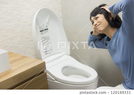 一位女士要求修理廁所 120189331