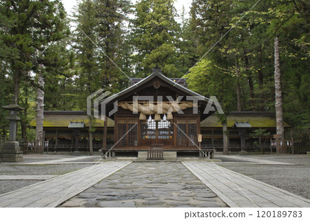 [Nagano Prefecture] Suwa Taisha Shrine, Shimosha Harumiya 120189783