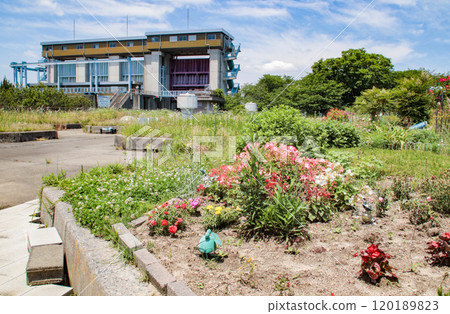 Spring Breeze Flower Garden / 3-chome, Kemacho, Miyakojima-ku, Osaka City, Osaka Prefecture Spring Breeze Flower Garden / 3-chome, Kemacho, Miyakojima-ku, Osaka City, Osaka Prefecture 120189823