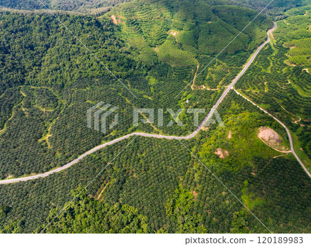 Aerial view Tropical Rainforest trees mountains,Top view green forest background 120189983