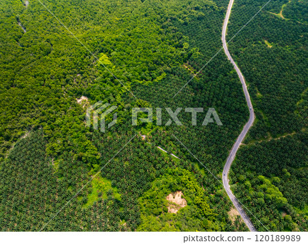 Aerial view Tropical Rainforest trees mountains,Top view green forest background 120189989