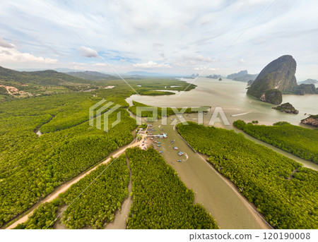 Amazing abundant mangrove forest, Aerial view of forest trees Rainforest ecosystem and healthy environment background, Texture of green trees forest top down, High angle view Amazing abundant mangrove forest, Aerial view of forest trees Rainforest ecosystem and healthy environment background, Texture of green trees forest top down, High angle view 120190008