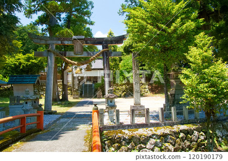 初夏的天空和野穀神社的鳥居 120190179