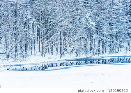 Nagano: Lake Mishaka in midwinter Nagano: Lake Mishaka in midwinter 120190233