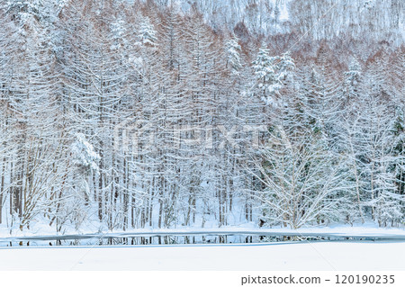 Nagano: Lake Mishaka in midwinter Nagano: Lake Mishaka in midwinter 120190235