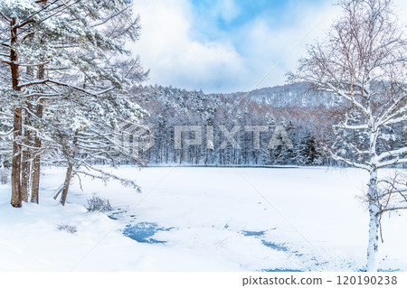 Nagano: Lake Mishaka in midwinter Nagano: Lake Mishaka in midwinter 120190238