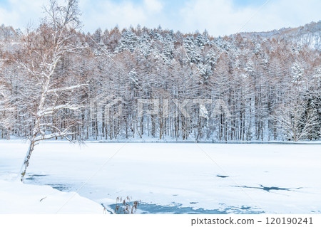 Nagano: Lake Mishaka in midwinter 120190241