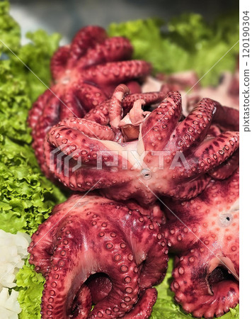 Fresh octopus arranged on a bed of lettuce at a seafood market. Vibrant colors highlight the octopus's texture, creating an enticing display for seafood enthusiasts 120190304