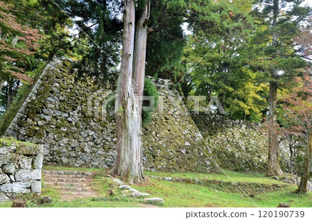 Takatori Castle Ruins Castle Tower 120190739