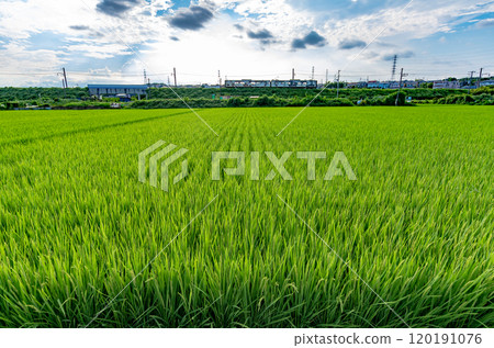 Local train and countryside Local train and countryside 120191076