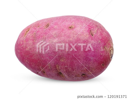 Sweet potato isolated on white background. Sweet potato isolated on white background. 120191371