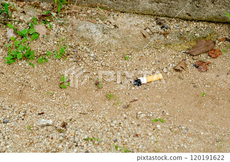 A scene of an extinguished cigarette being discarded on the grounds of a park 120191622