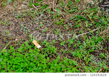 公園植被中散落著香菸的景觀 120191628