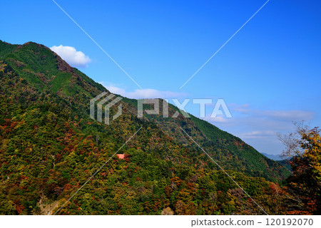 奧多摩湖 - 從小河內水壩到禦嶽山、川之木山的秋葉景色。 120192070