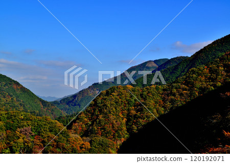 奧多摩湖 - 從小河內水壩到禦嶽山、川之木山的秋葉景色。 奧多摩湖 - 從小河內水壩到禦嶽山、川之木山的秋葉景色。 120192071