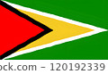 Hand-drawn flag of Guyana. 120192339