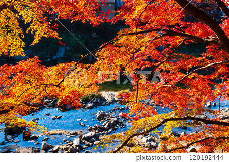 Korankei (Autumn) Korankei (Autumn) 120192444