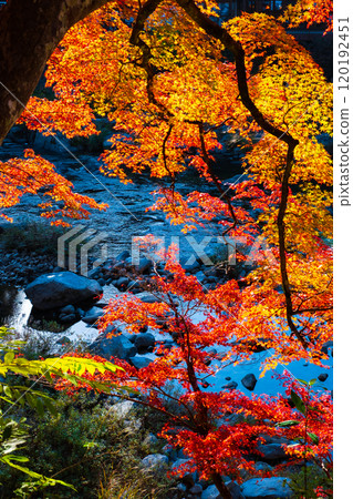 Korankei (Autumn) Korankei (Autumn) 120192451