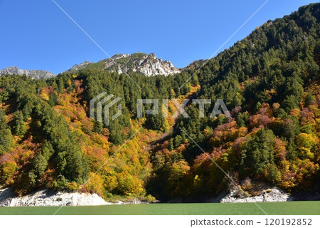 Autumn leaves on the Tateyama Kurobe Alpine Route Kurobe Dam Autumn leaves on the Tateyama Kurobe Alpine Route Kurobe Dam 120192852