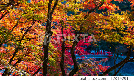 香蘭溪(秋季) 香蘭溪(秋季) 120192913