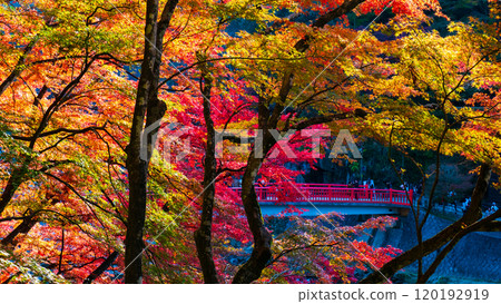 Korankei (Autumn) Korankei (Autumn) 120192919