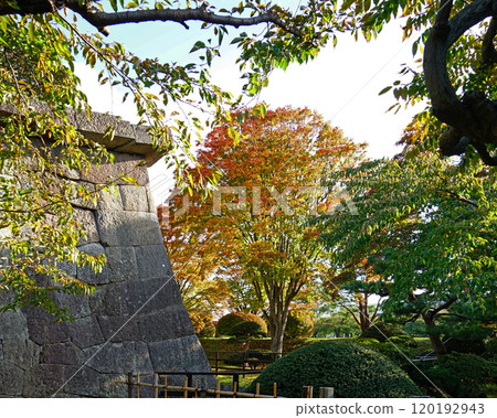 北海道 五稜郭 函館 北海道 五稜郭 函館 120192943