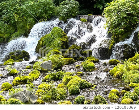 The spring water of Mt. Yotei is cool even in summer 120193369