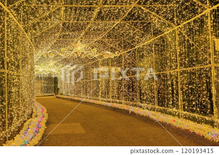 華麗又美麗的燈光 華麗又美麗的燈光 120193415