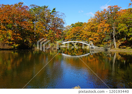 Hokkaido Onuma Park Hakodate Hokkaido Onuma Park Hakodate 120193440