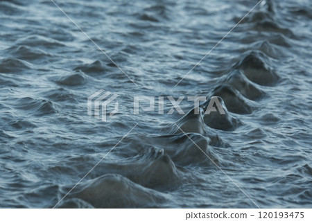 Yumigahama, Tottori, sea, water surface, waves 120193475