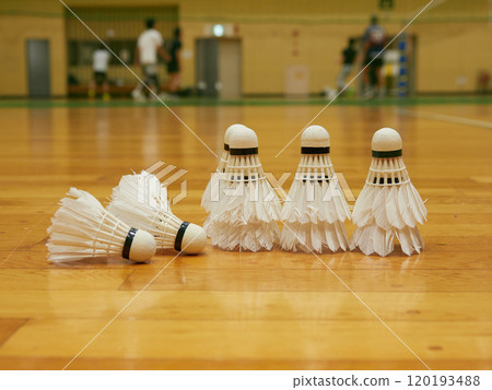 People playing badminton in a gym 120193488