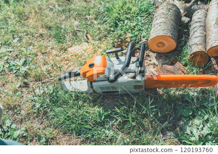 Making firewood with a chainsaw 120193760