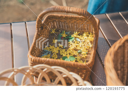 Petals Petals 120193775