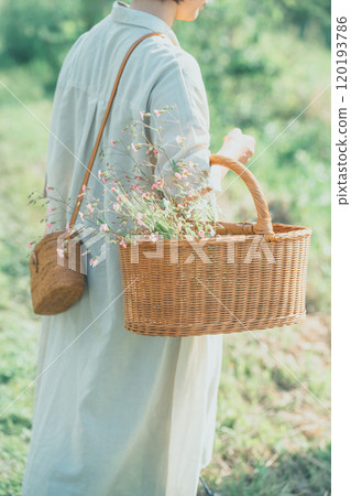 採摘皂草的婦女 120193786