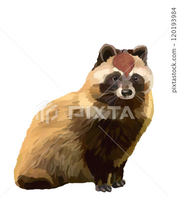 狸貓（含枯葉） 120193984