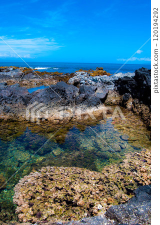 Hawaii coast tidepools - Maui Hawaii coast tidepools - Maui 120194292