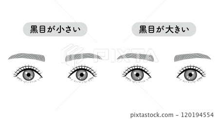 Comparison of black eye size 120194554