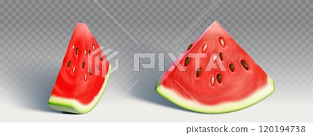 Isolated summer red watermelon slice vector icon Isolated summer red watermelon slice vector icon 120194738