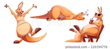 Funny kangaroo characters set Funny kangaroo characters set 120194776
