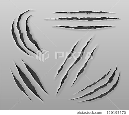 Animal claw scratch mark. Animal claw scratch mark. 120195570