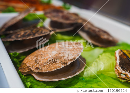 Several scallop shells are displayed on fresh green lettuce, showcasing their natural texture and markings. The arrangement suggests a seafood market or restaurant. 120196324