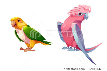 Colorful parrot birds set Colorful parrot birds set 120196613