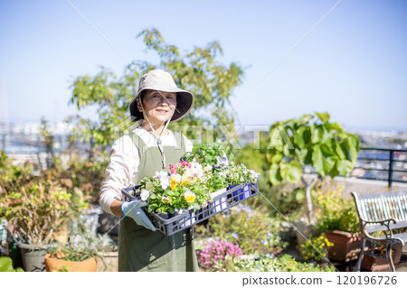 Gardening, autumn replanting, Japanese middle-aged woman 120196726
