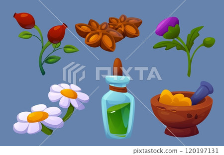 Herbal folk medicine elements set. 120197131