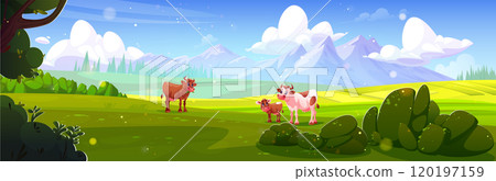Farm summer landscape with cow pasture 120197159