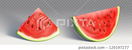 Isolated summer red watermelon slice vector icon Isolated summer red watermelon slice vector icon 120197277