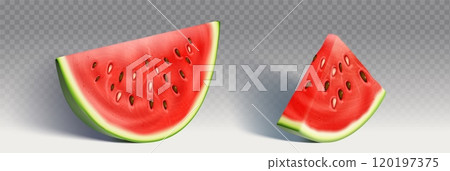 Watermelon half and triangle slice 120197375