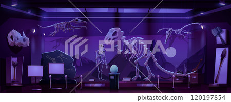 Dinosaur exhibit in museum at night 120197854